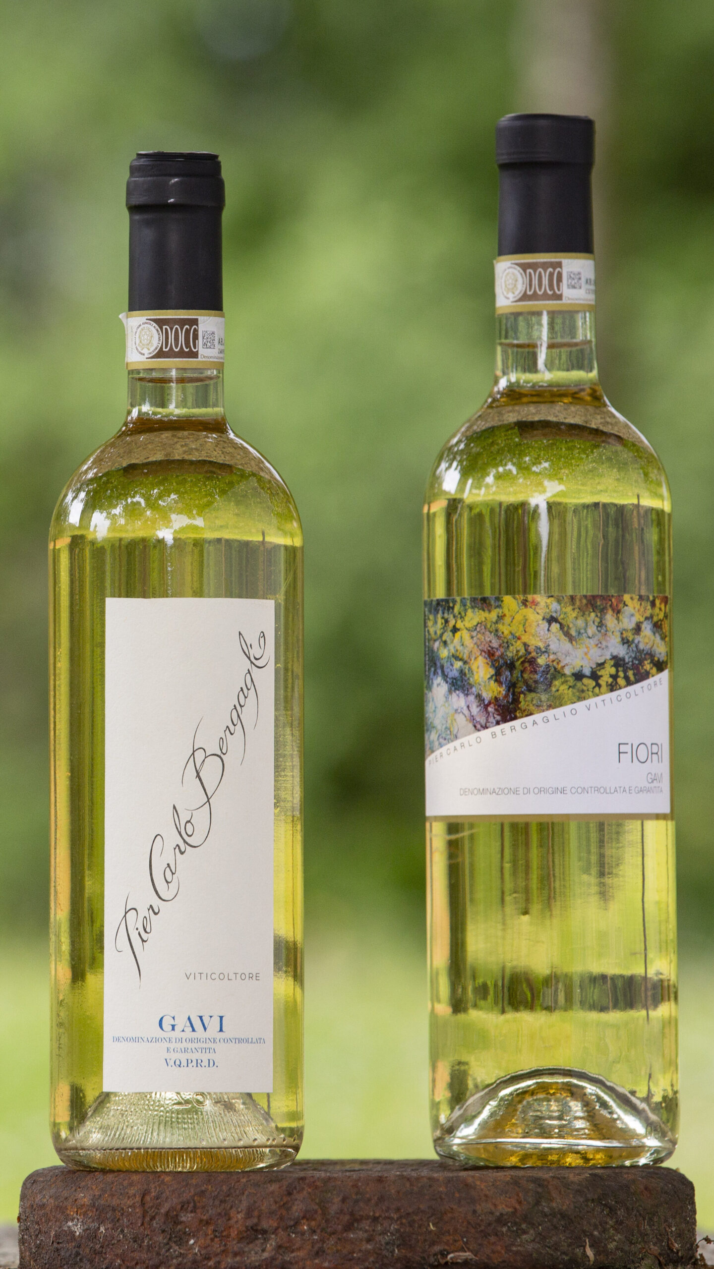 Gavi DOCG: vitigno, caratteristiche e abbinamenti del grande bianco piemontese
